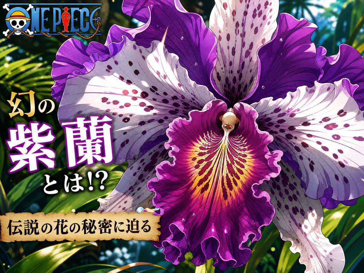 芒果视频